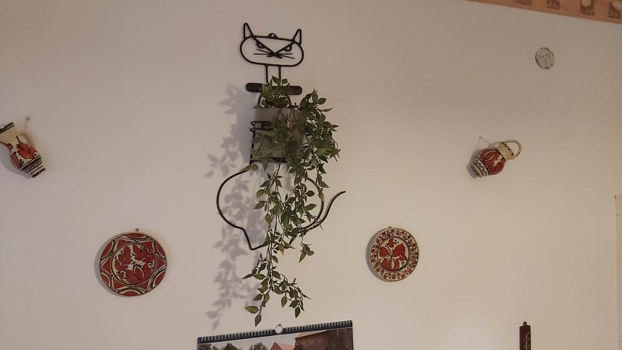 Nagyiek Haza / Granny'S House Apartment Esztergom Luaran gambar